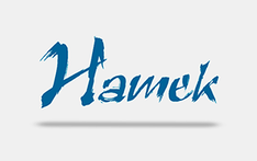Hamek 2015 begeisterte Medizintechniker und IT-Experten